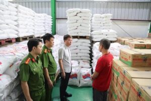 Các Biện Pháp Chính Phủ Đang Thực Hiện